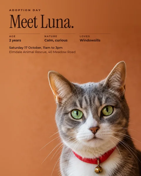 Example campaign, animal rescue: Meet Luna on adoption day, Portrait post